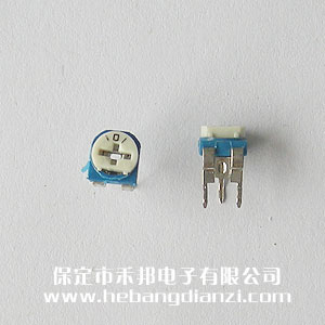 101臥式藍白可調電阻100歐