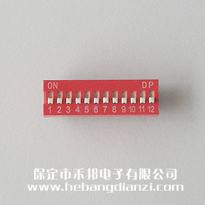 12P撥碼開(kāi)關(guān)平撥
