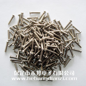 圓頭螺釘M2.5*12mm