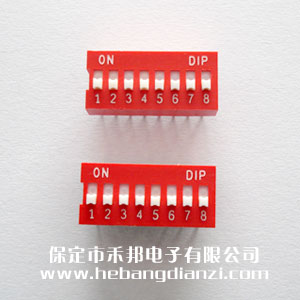 8P撥碼開(kāi)關(guān)  臺(tái)產(chǎn) 平撥