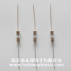 帶引線3.6*10mm 1A 慢熔