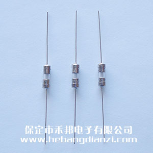 帶引線保險3.6*10mm 2A 快熔