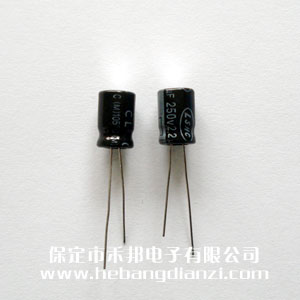2.2UF 250V鋁電解 大尺寸