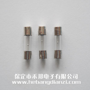 玻璃保險管Φ5*20mm 慢熔