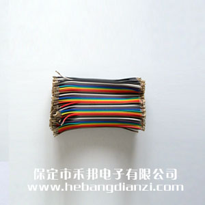 2.0杜邦線10cm