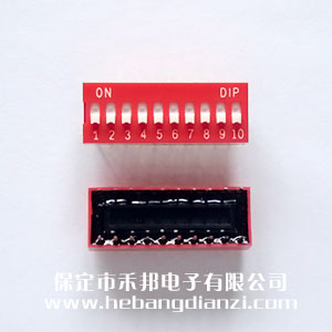 10P撥碼開(kāi)關(guān) 臺(tái)產(chǎn) 平撥