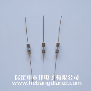 帶引線保險3.6*10mm 0.5A 快熔