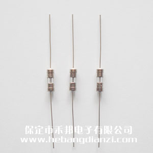 帶引線保險3.6*10mm 8A 慢熔