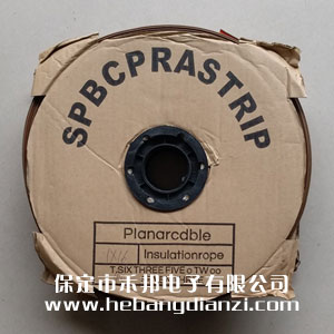 彩排線40P(粗)